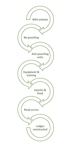 cycle